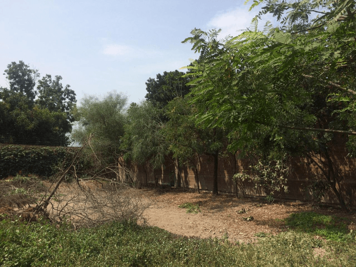 VENTA TERRENOS EN URB. CASABLANCA - PACHACAMAC