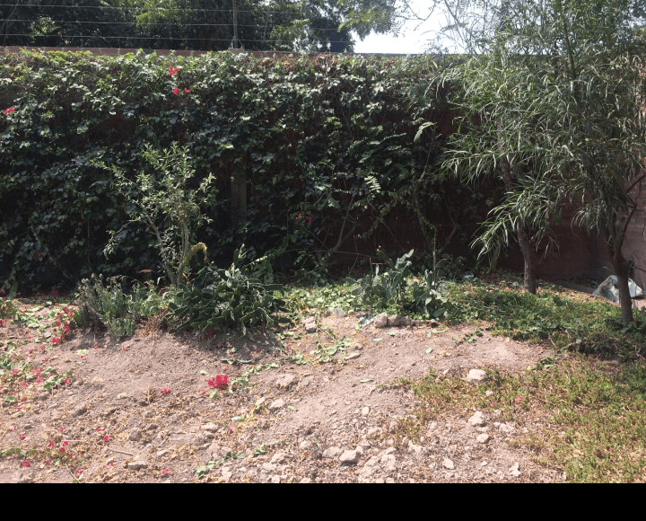 VENTA TERRENOS EN URB. CASABLANCA - PACHACAMAC - Imagen 10