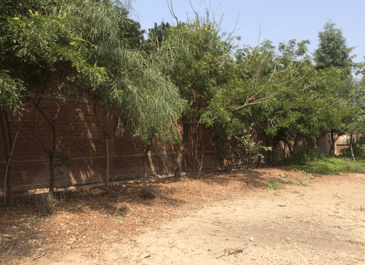 VENTA TERRENOS EN URB. CASABLANCA - PACHACAMAC - Imagen 2