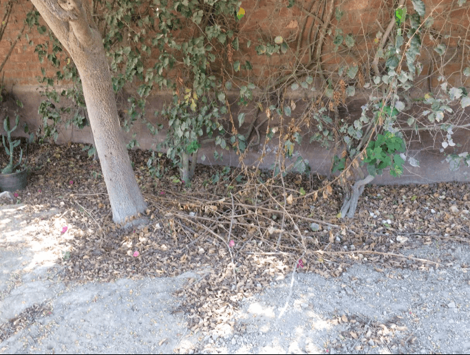 VENTA TERRENOS EN URB. CASABLANCA - PACHACAMAC - Imagen 8