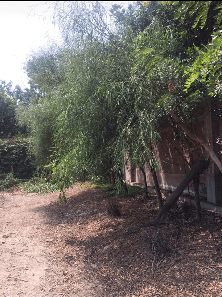 VENTA TERRENOS EN URB. CASABLANCA - PACHACAMAC - Imagen 4