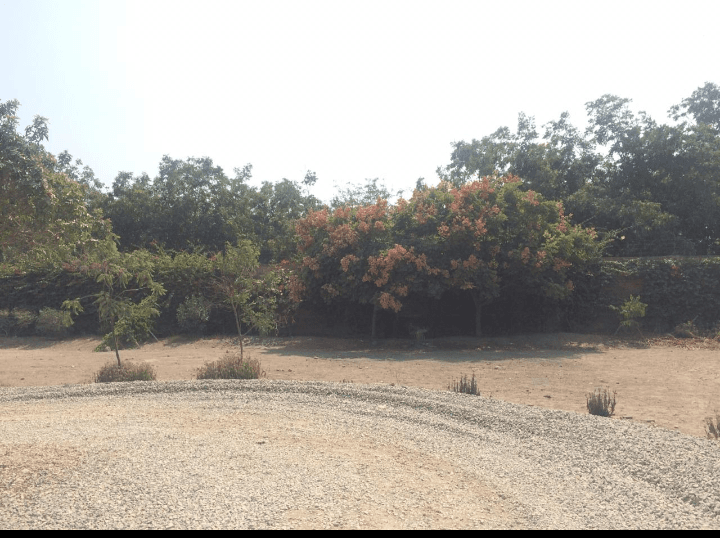 VENTA TERRENOS EN URB. CASABLANCA - PACHACAMAC - Imagen 6